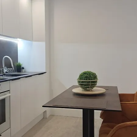 Starlight Rose Apartment Szeged